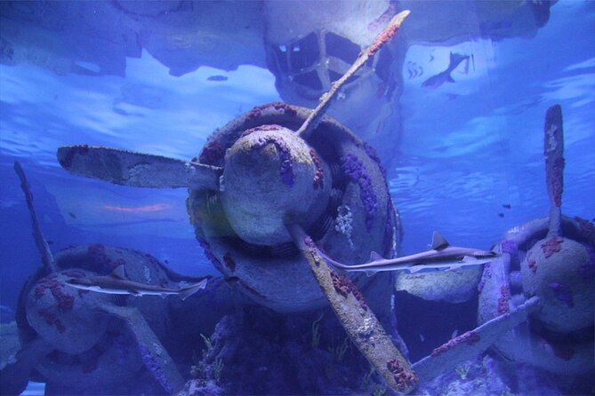 Alexander Waterfall and Antalya Aquarium Day Tour from Side - Side-to-Antalya Day Tour: how the route actually feels