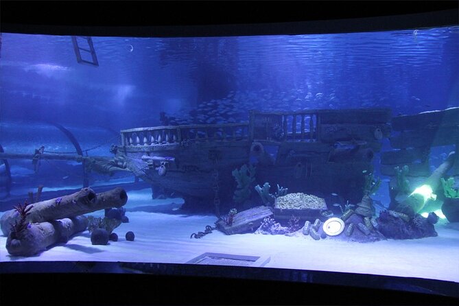 Alexander Waterfall and Antalya Aquarium Day Tour from Side - Antalya Aquarium and the tunnel experience: plan for 90 minutes of fish watching