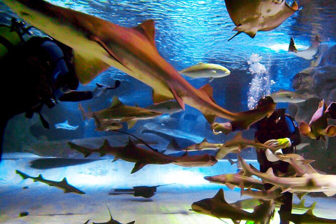Alexander Waterfall and Antalya Aquarium Day Tour from Side - Kaleici Old City time: sea-view breaks and a simple sightseeing pace