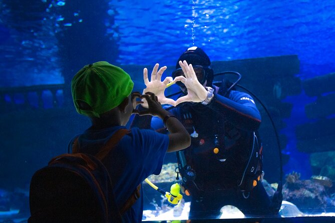 Alexander Waterfall and Antalya Aquarium Day Tour from Side - Price and value: what $68.65 includes (and what you’ll pay for)