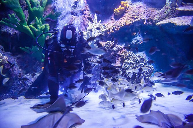 Alexander Waterfall and Antalya Aquarium Day Tour from Side - Alexandre Waterfall: a brief taste of the Mediterranean coast