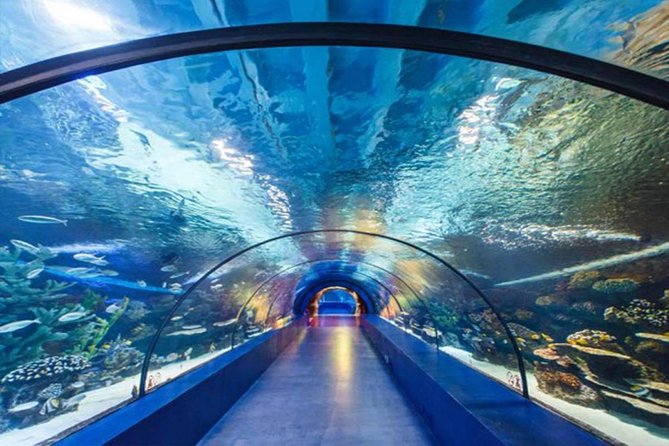 Antalya Tunnel Aquarium - Departure from Side - A Full-Day Mix: Side to Lower Duden and Antalya Aquarium