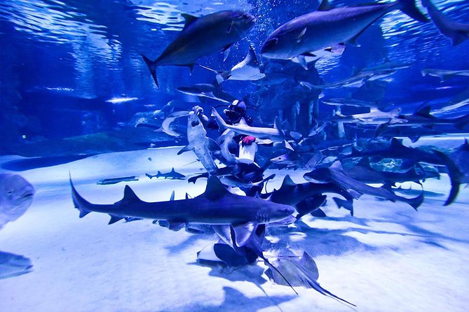 Antalya Tunnel Aquarium - Departure from Side - Pace, Weather, and Who This Fits Best
