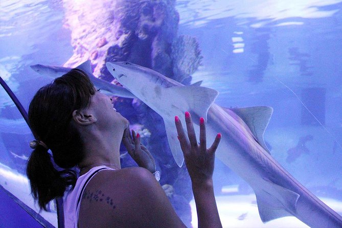 Antalya Tunnel Aquarium - Departure from Side - Hotel Transfers and Group Size: Why This Feels Easier