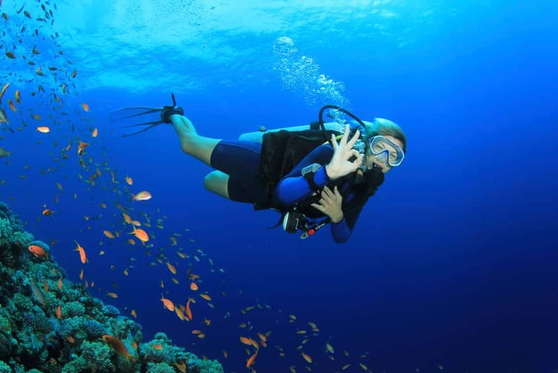 City of Side: Scuba Diving Underwater Museum with Pickup - Lunch aboard: included, simple, and not always perfect