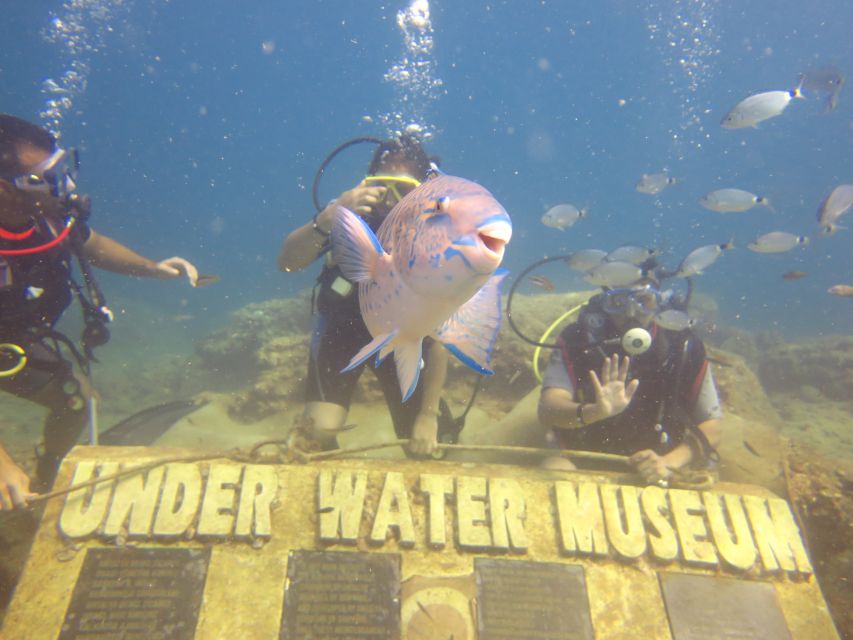 City of Side: Scuba Diving with Lunch - Lunch Onboard: Good Food, Weird Moments