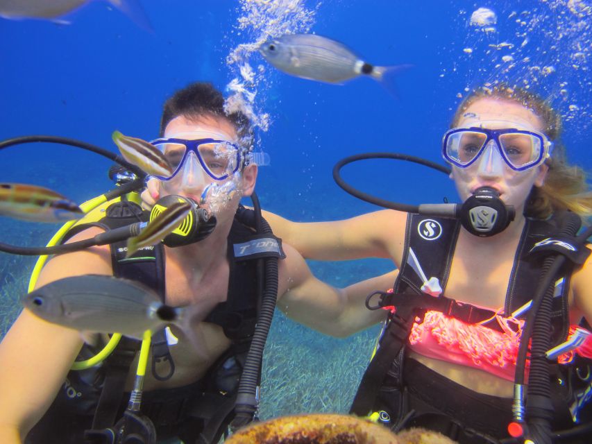 City of Side: Underwater Museum Scuba Diving Visit - Instructor Support and What Beginners Should Expect
