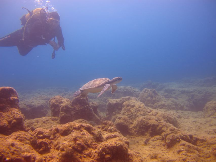 City of Side: Underwater Museum Scuba Diving Visit - Photography Rules and How to Plan Your Memories