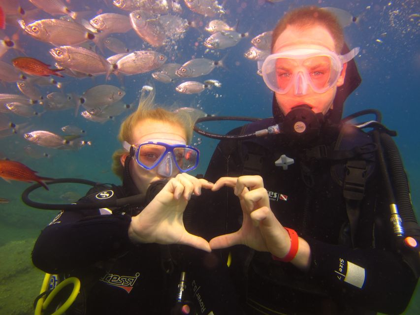 City of Side: Underwater Museum Scuba Diving Visit - Price and Value: Is $50 Good for What You Get?