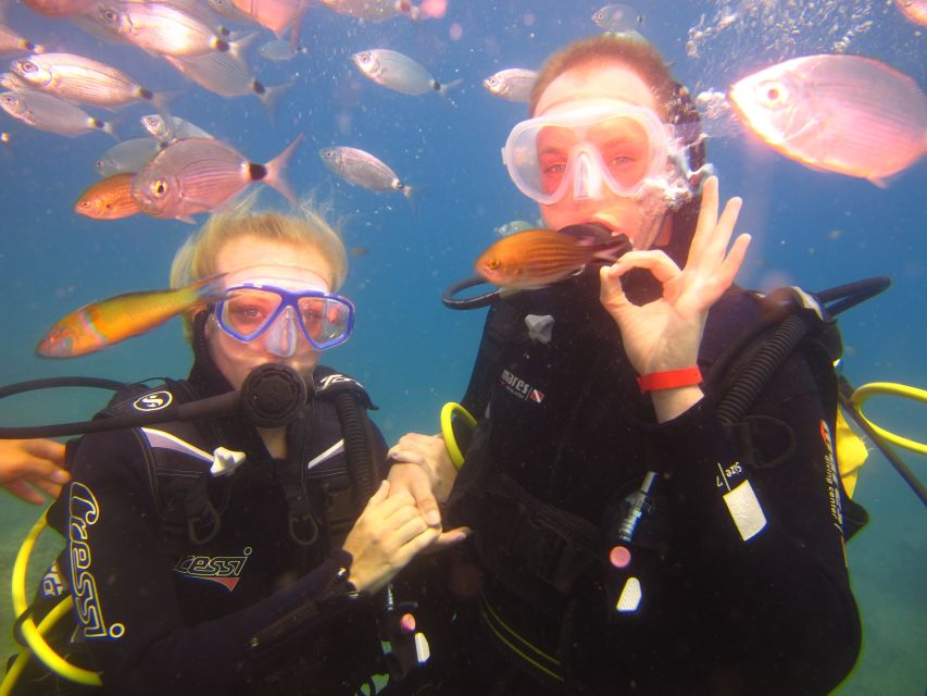 City of Side: Underwater Museum Scuba Diving Visit - Who This Fits (and Who Should Skip It)