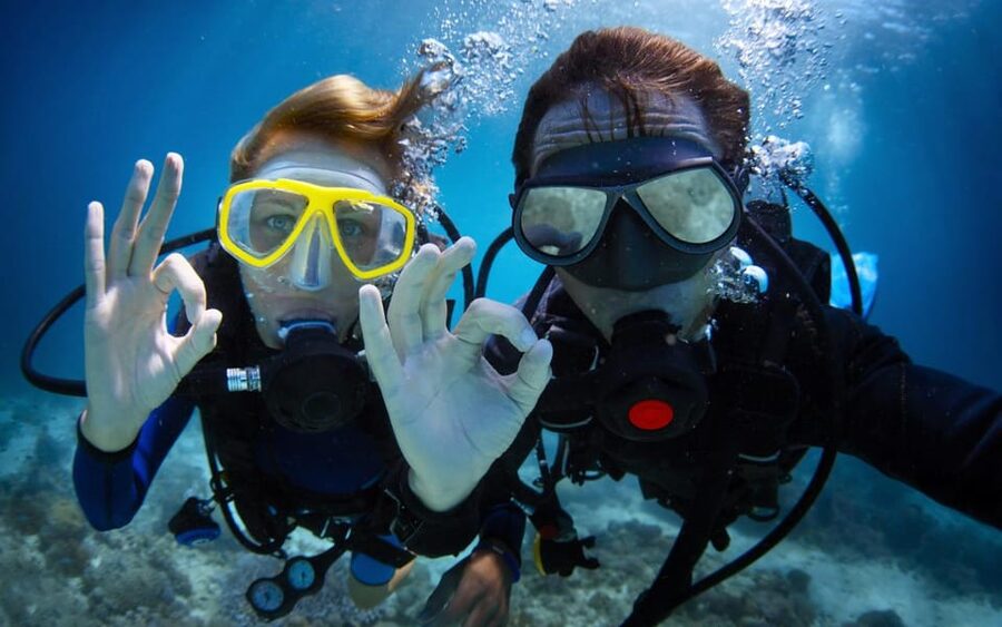 Diving Tour from Alanya & Side with Lunch - 2 Dives Included - Price and value at about $52: what’s included vs. extra