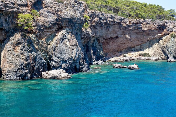 Dolphin Island Boat Trip – Swim, Sun & Lunch Included - Dolphin Island area and snorkeling: what you can expect in open water
