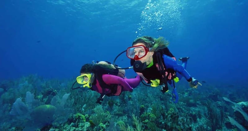 From Alanya: Scuba Diving Tour with Hotel Transfers - Key things to know before you go