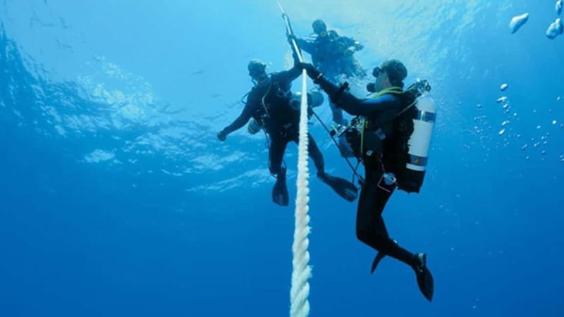 From Alanya: Scuba Diving Tour with Hotel Transfers - Price and value: what $67 really covers