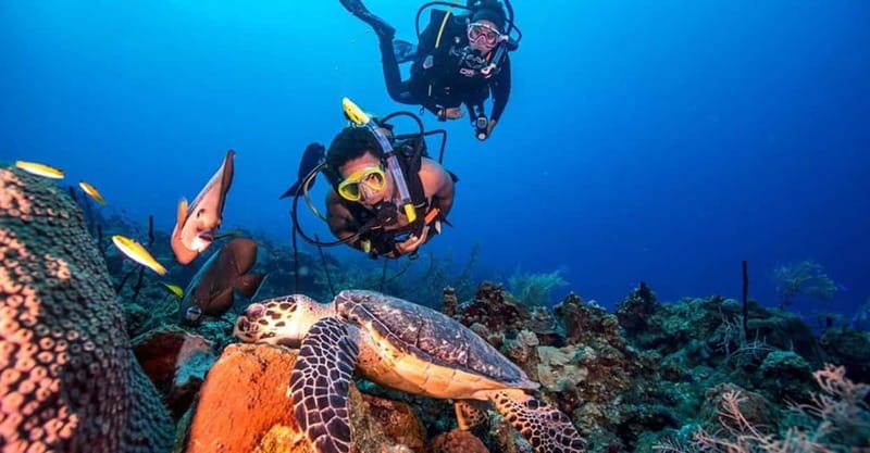 From Alanya: Scuba Diving Tour with Hotel Transfers - The training plan: how beginners get comfortable fast