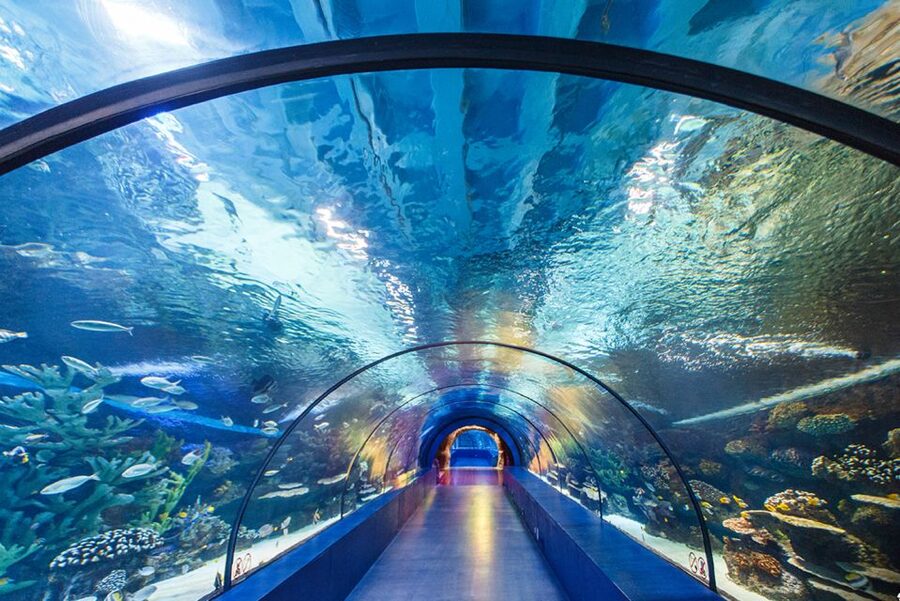 From City of Side: Antalya Aquarium Tour, Ticket & Transfer - Side to Antalya Hotel Transfer: Less Stress, More Time on Your Feet
