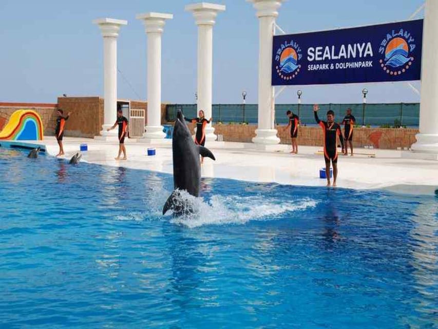 From Side Dolphin and Seal Show Ticket with Hotel Transfers - The marine conservation angle you’ll hear from trainers
