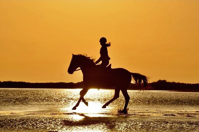 Horse Riding in Manavgat Side Forest and Beach - Key highlights at a glance