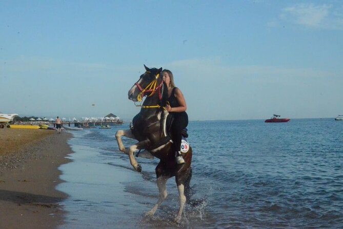 Horse Riding in Manavgat Side Forest and Beach - Where You Ride: Side’s Sea Breeze and Manavgat’s Pine-Tree Trail