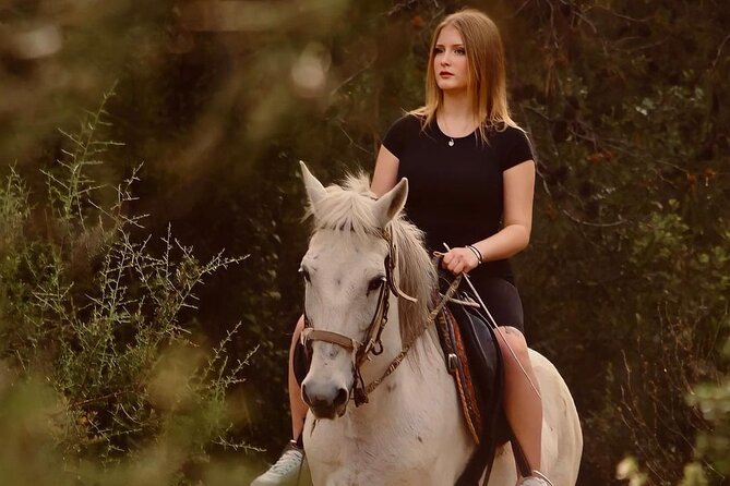 Horse Riding in Manavgat Side Forest and Beach - Two Route Options: Coastal Road vs Forest Trail (And Why You Should Pick Carefully)