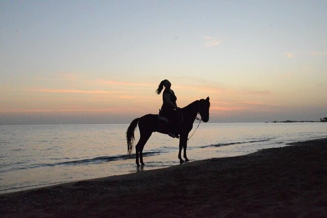 Horse Riding in Manavgat Side Forest and Beach - Safety and Comfort: Helmets Aren’t Included, So Ride Smarter