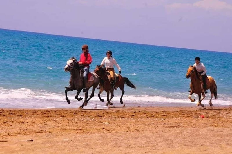 Manavgat Side: Horse Riding on the Beach and in the Forest - The pine-forest hour: countryside air and a river pause