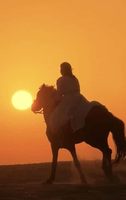 Manavgat Side: Horse Riding on the Beach and in the Forest - Guides and horses: what to expect from the people in charge