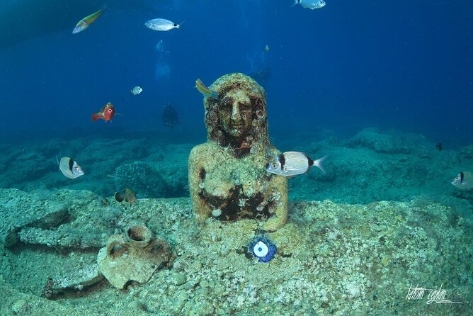 Scuba Diving Under Water Museum - Price and value: why $39.04 can make sense