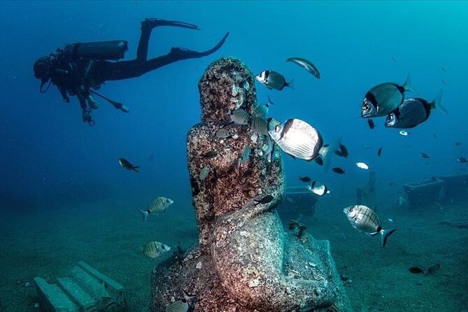 Scuba Diving Under Water Museum - Who this tour suits best (and who might not)