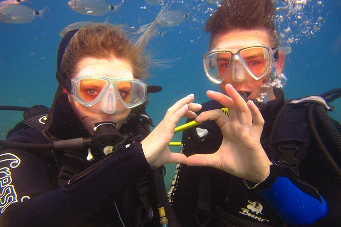 Scuba Diving Under Water Museum - Meeting time in Side: how the day runs from 8:00 am