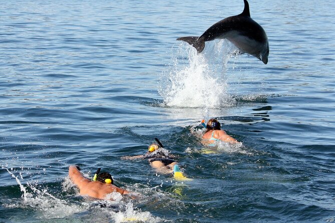Side Dolphin Island Boat Trip With Lunch And Soft Drinks - From Side Hotels to Kumköy Pier: How the Day Starts
