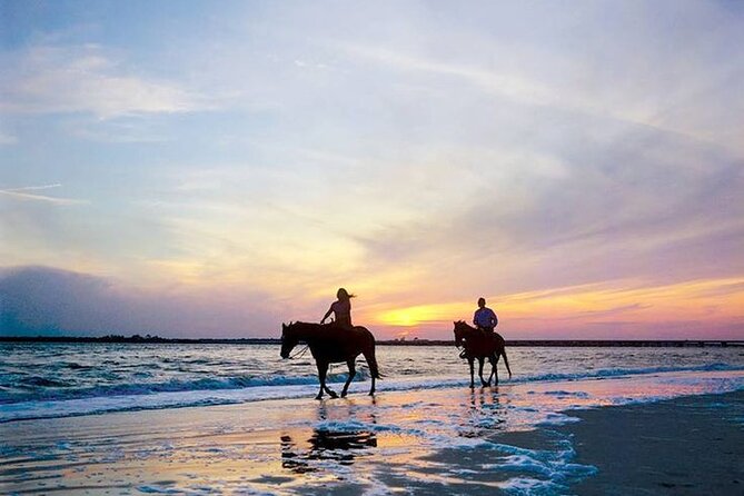 Side Horse Riding On Beach And Through The Forests For 2 Hours - Horse care concerns: the biggest wildcard on this tour