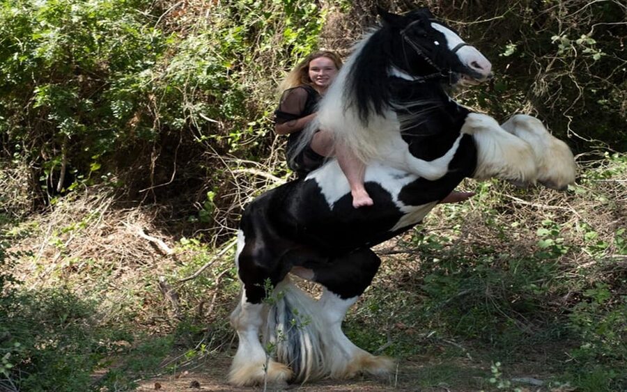 Side: Horse Safari Tour - Who this is best for (and who should skip it)