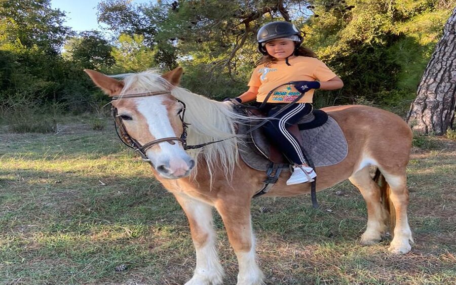 Side: Horse Safari Tour - Practical expectations: language, group energy, and comfort reality