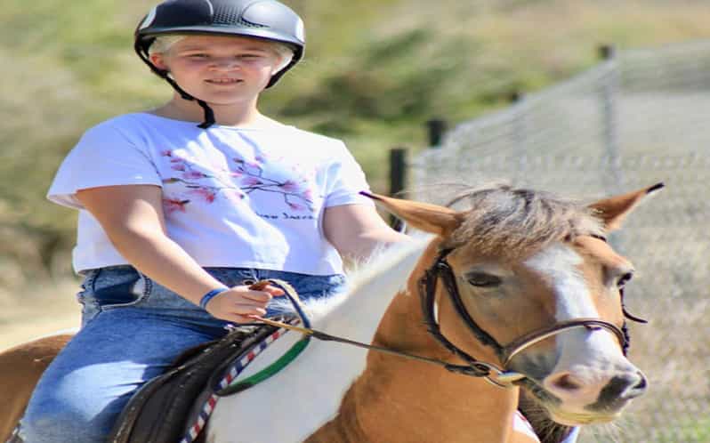 Side: Horse Safari Tour - Getting started: pickup, meeting your guide, and quick safety setup