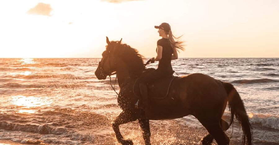 Side: Horseback Riding Tour in Nature - Key highlights you’ll care about