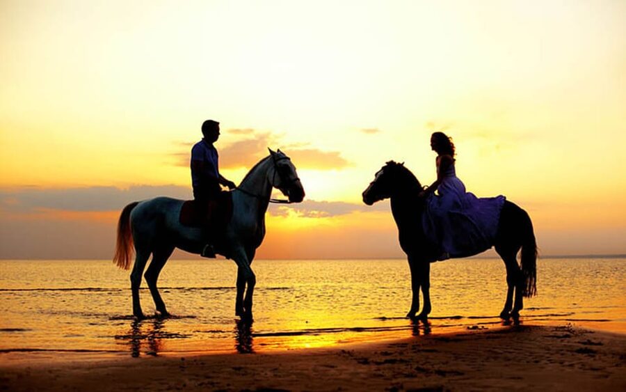 Side: Horseback Riding Tour in Nature - Why Horseback Near Side Feels Different Than Standard Tours