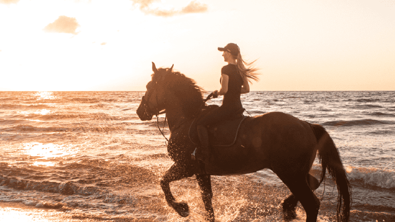 Side: Horseback Riding Tour in Nature - The Ranch Setup: Helmets, Gloves, Boots, and Horse Care Coaching