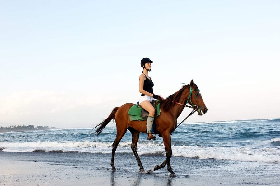 Side: Horseback Riding Tour in Nature - Your 2 Hours Explained: What Happens Before and After the Ride