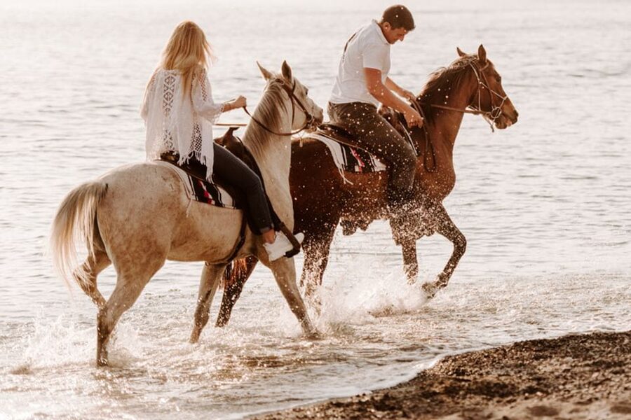 Side: Horseback Riding Tour in Nature - Beach + Woods + Ruins Views: The Scenery That Makes It Worth $58
