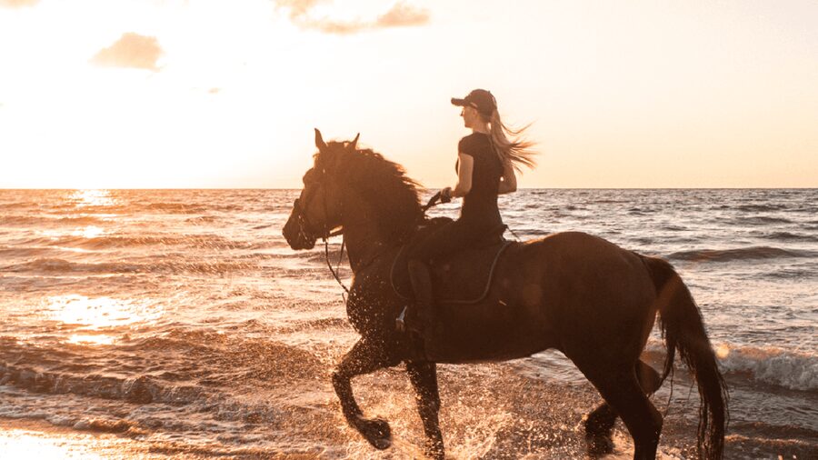 Side: Horseback Riding Tour in Nature - Horseback for Beginners: Lessons That Actually Help