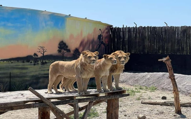 Side: Jeep Safari Tour with Lunch and Green Canyon See - Price and value: what about $23 gives you