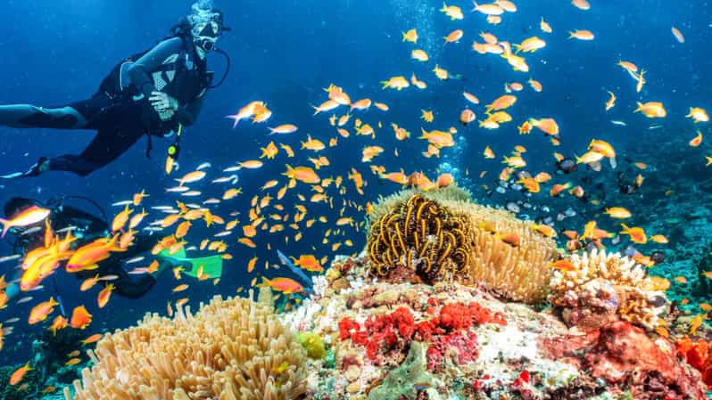 Side: Scuba Diving Tour Journey To The Depths Of The Blue - Two shallow water sessions at 5–6 meters: what you’re actually doing