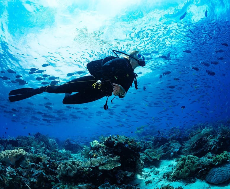 Side: Scuba Diving Tour Journey To The Depths Of The Blue - Underwater Museum highlights: 110 statues, photo stops, and the little moments