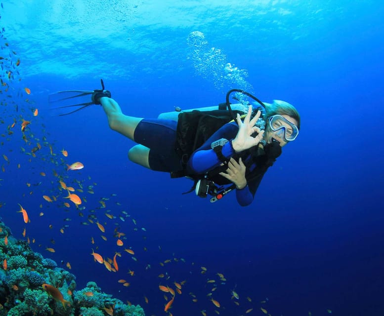 Side: Scuba Diving Tour Journey To The Depths Of The Blue - What to bring: the small stuff that makes the day easier