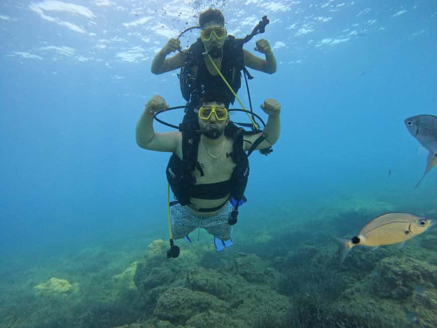 Side: Scuba Diving & Under Water Museum with Hotel Transfer - Respect the Rules: Marine Life and Plant Touching