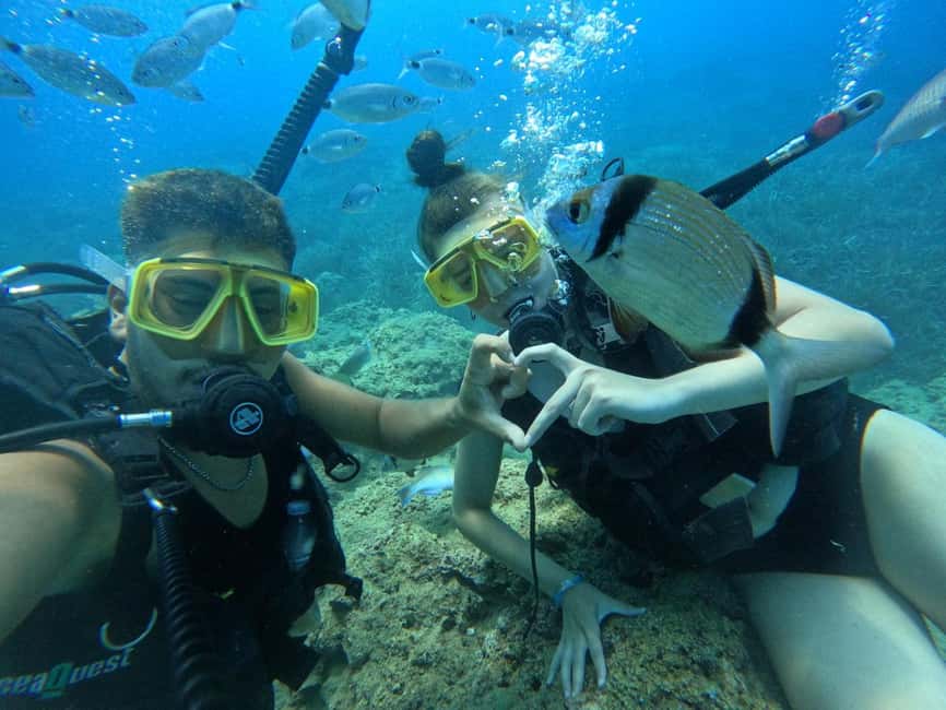 Side: Scuba Diving & Under Water Museum with Hotel Transfer - Price and Value: Is $40 Reasonable?