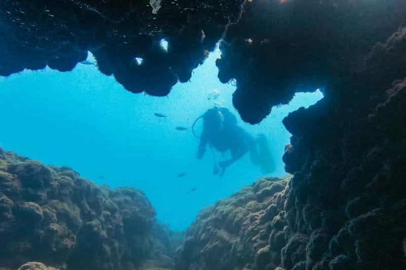 Side: Scuba Diving, Underwater Museum, 2 Dives incl. Lunch - Two underwater locations off Side and Manavgat