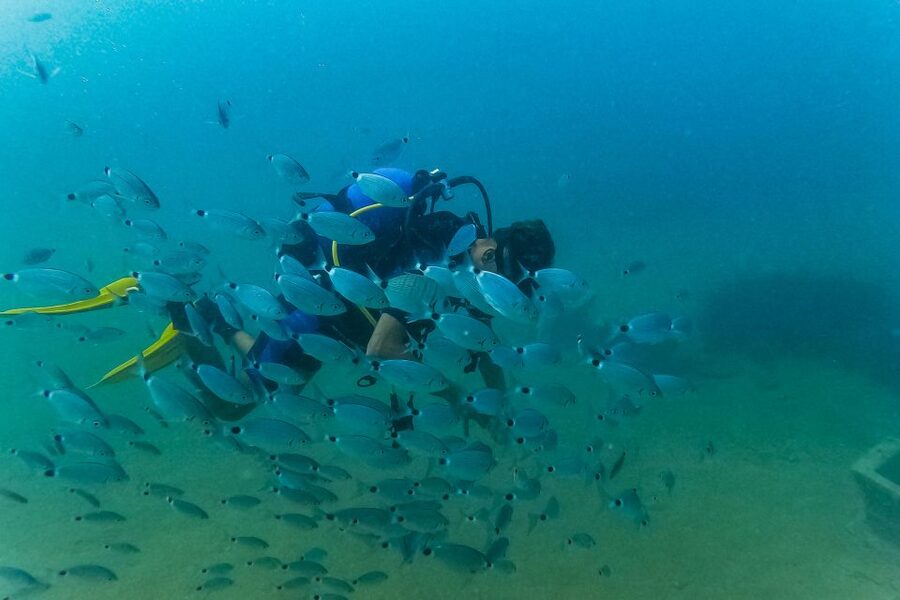 Side: Scuba Diving, Underwater Museum, 2 Dives incl. Lunch - The second underwater location: variety after lunch